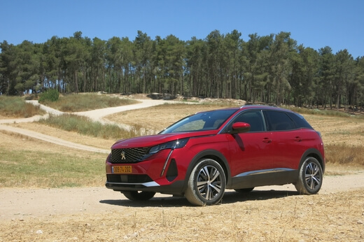 מבחן ג'יפונים